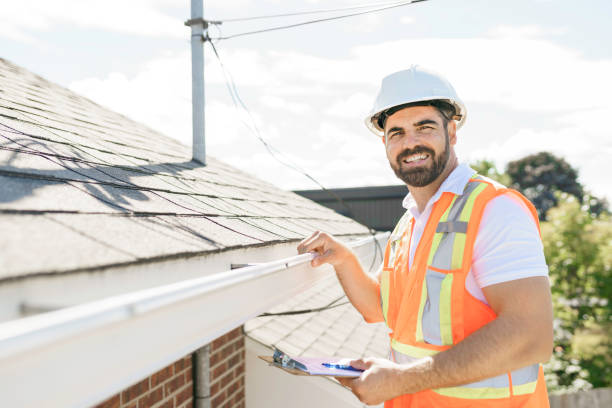 Roof Moss and Algae Removal in Paulding, OH