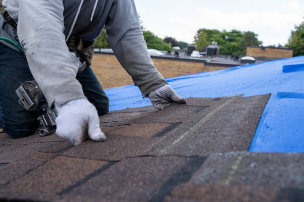 Best Roof Insulation Installation  in Paulding, OH